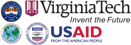 author logo